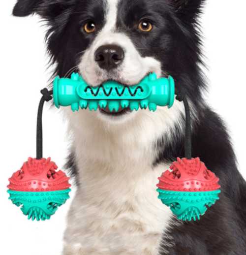 Interactive Dental Chew & Tug Toy for Dogs
