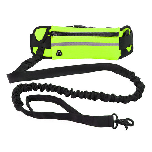 Hands-Free Dog Running Belt with Bungee Leash