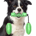 Interactive Dental Chew & Tug Toy for Dogs