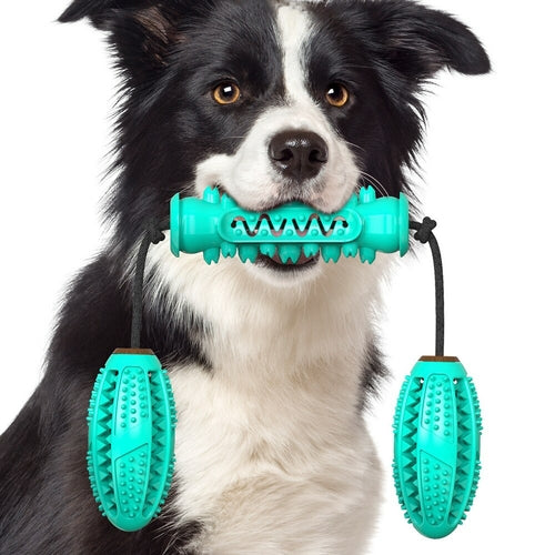 Interactive Dental Chew & Tug Toy for Dogs