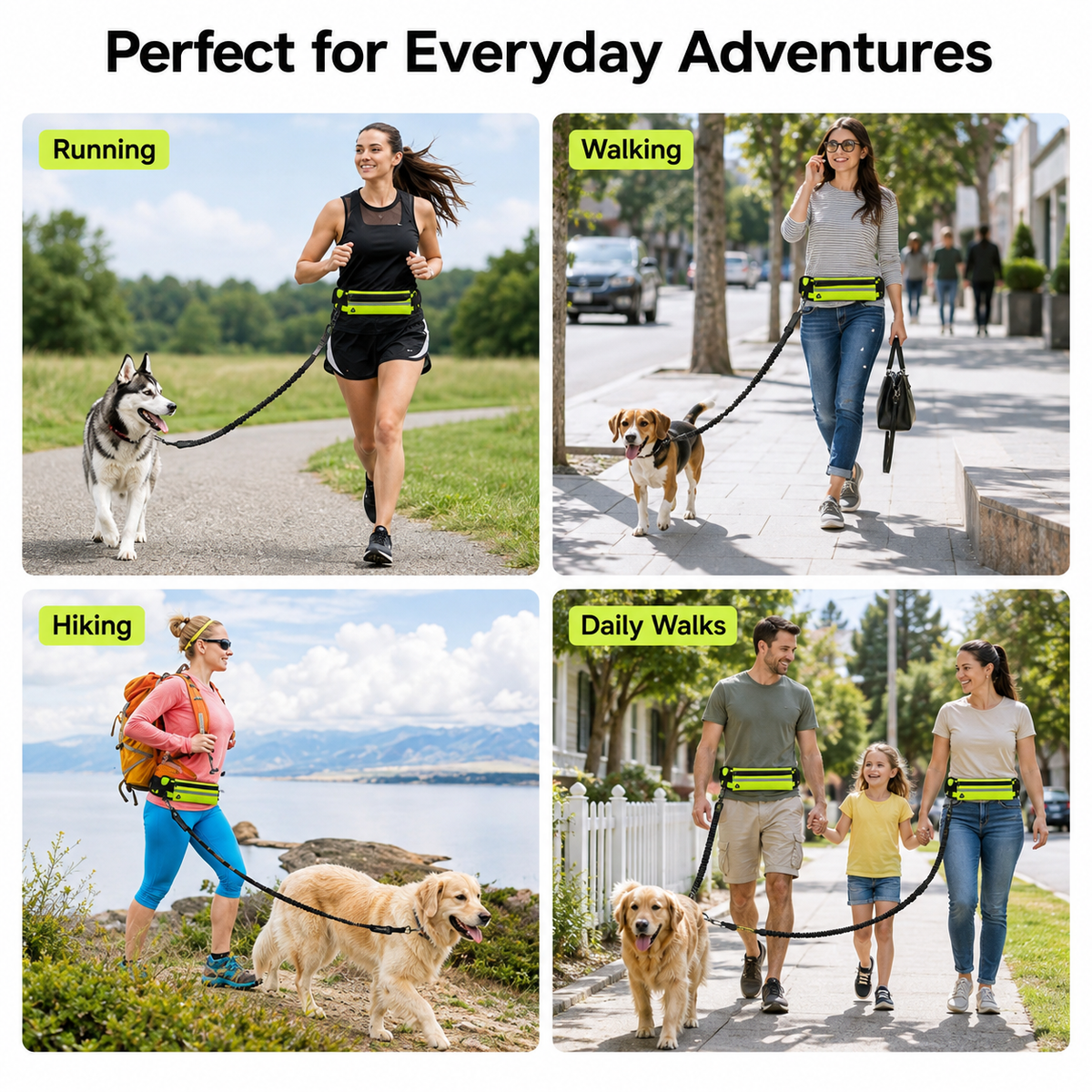 Hands-Free Dog Running Belt with Bungee Leash