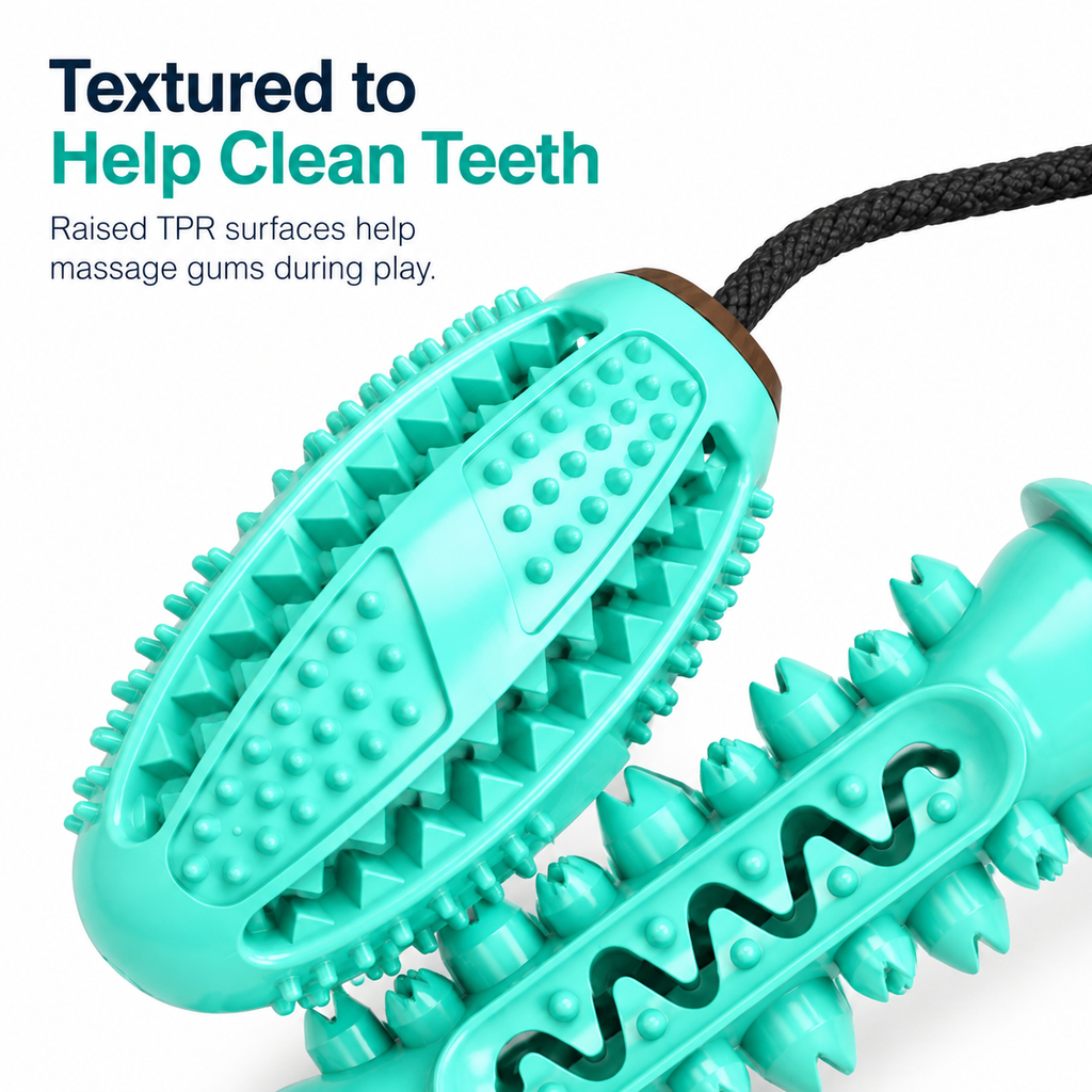 Interactive Dental Chew & Tug Toy for Dogs