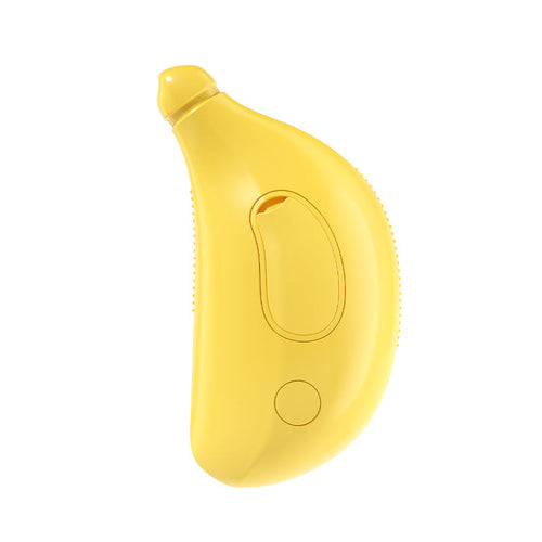 Rechargeable Mist Grooming Brush for Cats & Dogs